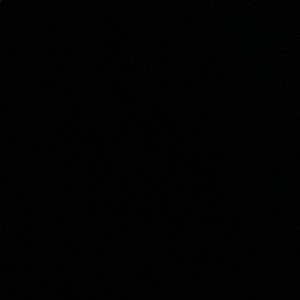 Meet your Posher, Michaela